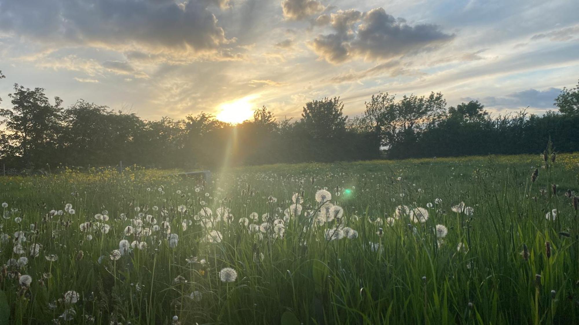 Wellbet Farm Otel Swinderby Dış mekan fotoğraf